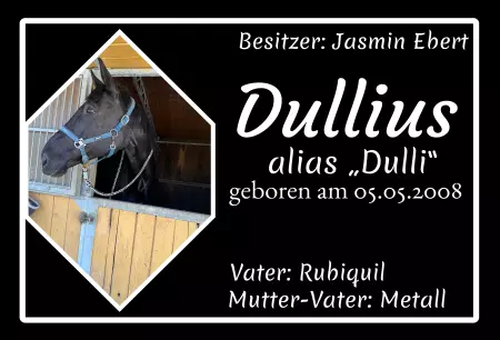 boxenschild pferdPferde Dullius Bild