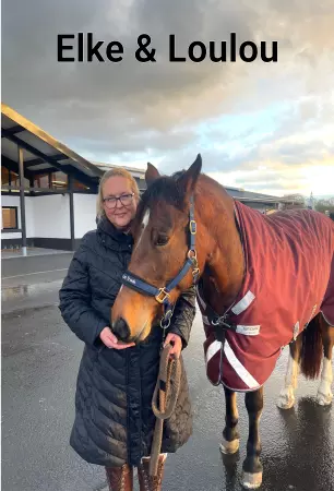 boxenschild pferdPferde Elke & Loulou Bild