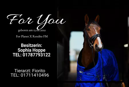 boxenschild pferdPferde For You Bild