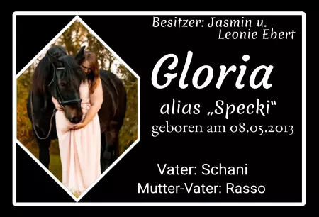 boxenschild pferdPferde Gloria Bild