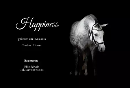 boxenschild pferdPferde Happiness Bild