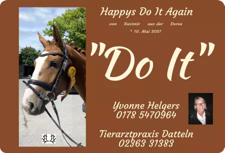 boxenschild pferdPferde Happys Do It Again Bild