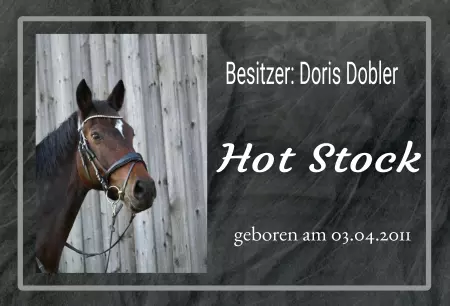 boxenschild pferdPferde Hot Stock Bild