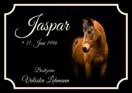 boxenschild pferdPferde Jaspar Bild