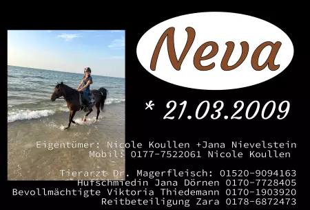boxenschild pferdPferde Neva Bild