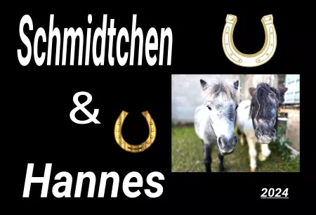 boxenschild pferdPferde Schmidtchen & Hannes Bild