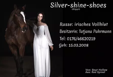 boxenschild pferdPferde Silver-shine-shoes Bild