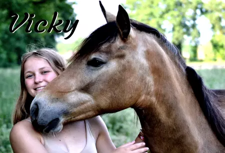 boxenschild pferdPferde Vicky Bild