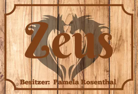 boxenschild pferdPferde Zeus Bild